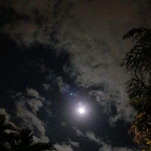 Meet your Posher, Keith